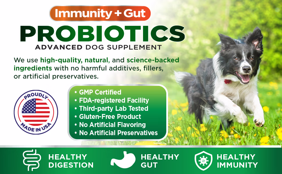 Snackee Paws Probiotics & Digestive Enzymes Chews