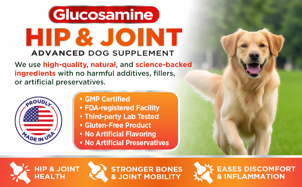 Snackee Paws Hip & Joint Supplement